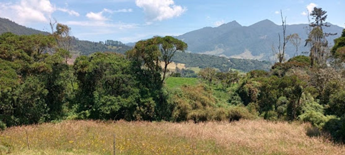 Lote en venta en Paso Real, La Calera, 11287 m² · foto 4 de 9