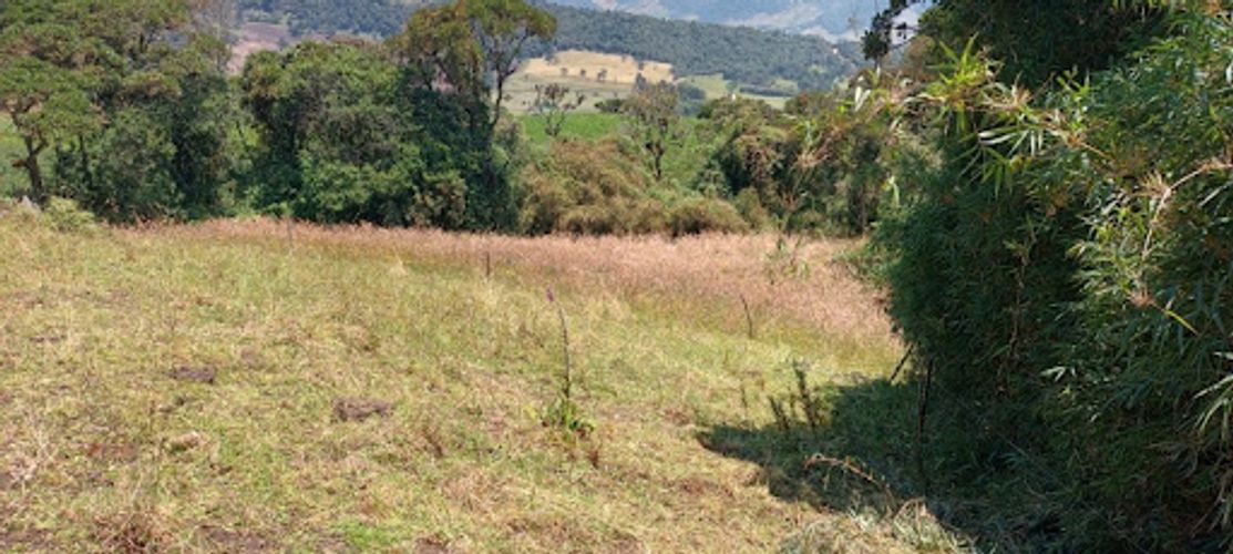 Lote en venta en Paso Real, La Calera, 11287 m² · foto 7 de 9
