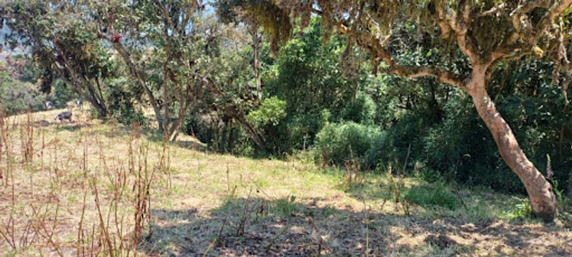 Lote en venta en Paso Real, La Calera, 11287 m² · foto 8 de 9