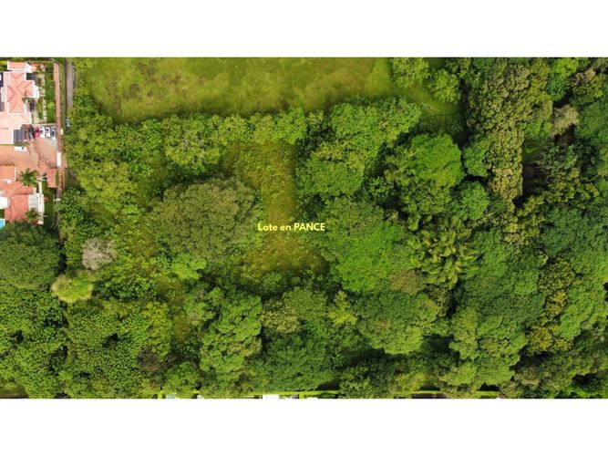 Lote en venta en Pance, Cali, 31000 m² · foto 7 de 7