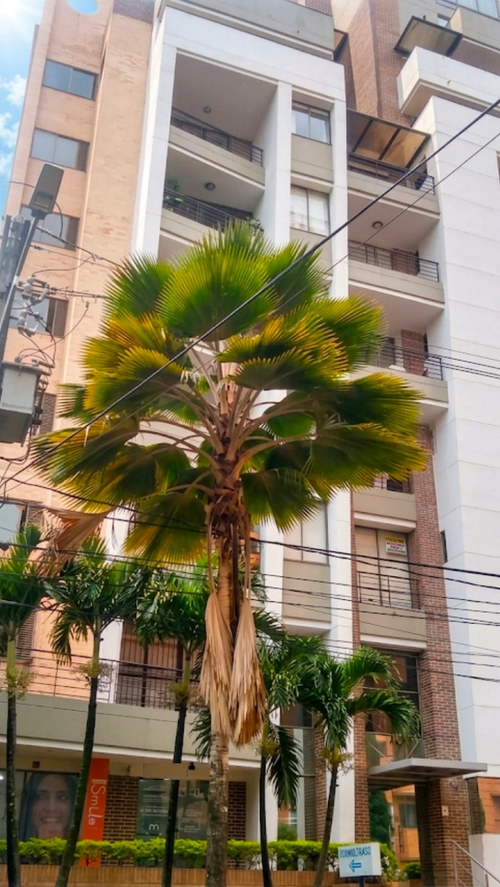 Apartaestudio en venta en Laureles, Medellín, 35 m² · foto 9 de 9