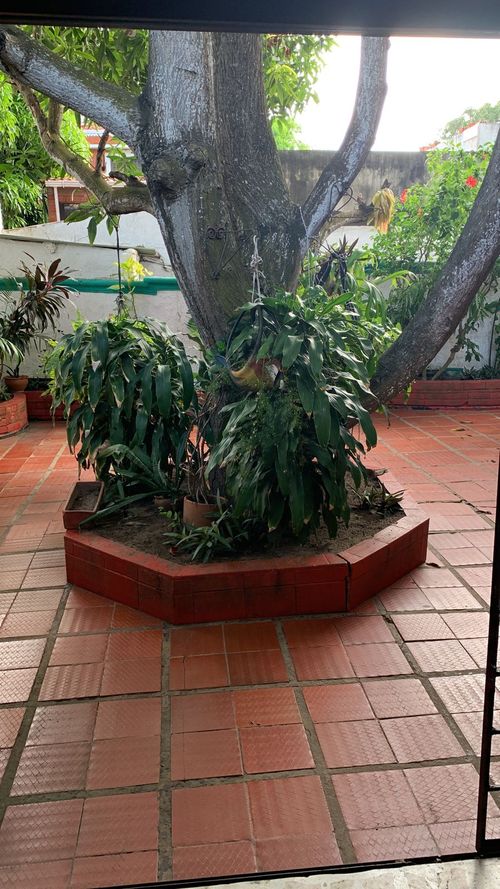Casa de 5 alcobas en venta en Altos Del Prado, Barranquilla, 385 m² · foto 5 de 9