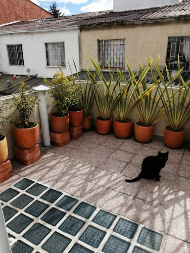 Casa en venta en Villa Del Prado, Bogotá · foto 16 de 16