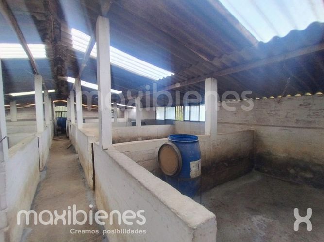 Finca en arriendo en Robledo, Medellín, 800 m² · foto 4 de 20