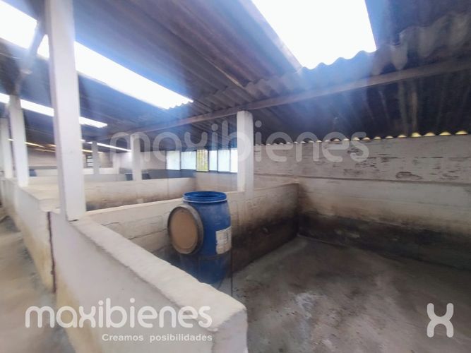 Finca en arriendo en Robledo, Medellín, 800 m² · foto 8 de 20