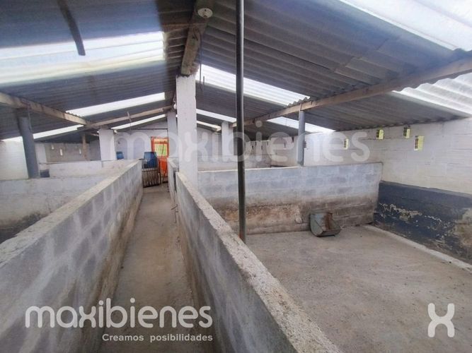 Finca en arriendo en Robledo, Medellín, 800 m² · foto 10 de 20
