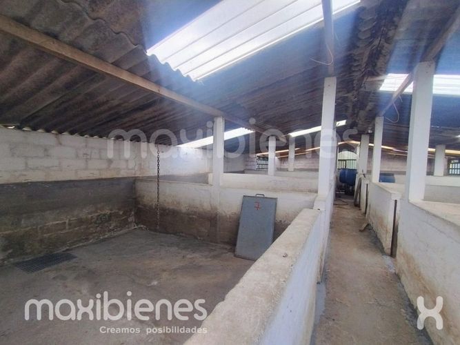 Finca en arriendo en Robledo, Medellín, 800 m² · foto 13 de 20