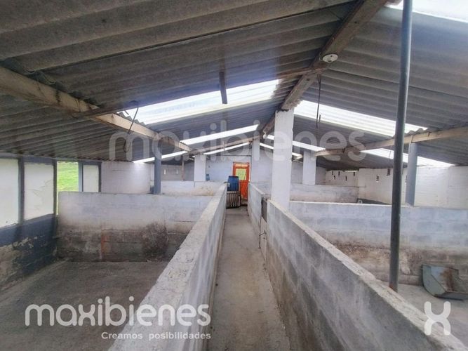 Finca en arriendo en Robledo, Medellín, 800 m² · foto 16 de 20