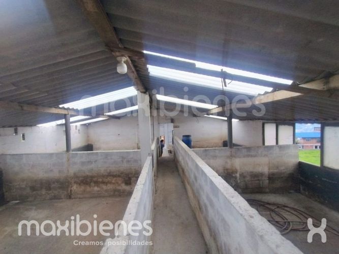 Finca en arriendo en Robledo, Medellín, 800 m² · foto 18 de 20
