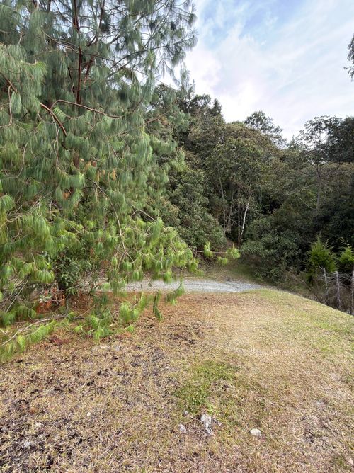 Lote en venta en Vía Las Palmas, Envigado, 4220 m² · foto 18 de 19