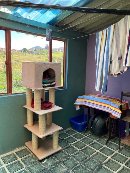 Casa en venta en Las Quintas Del Sur, Bogotá · foto 14 de 19