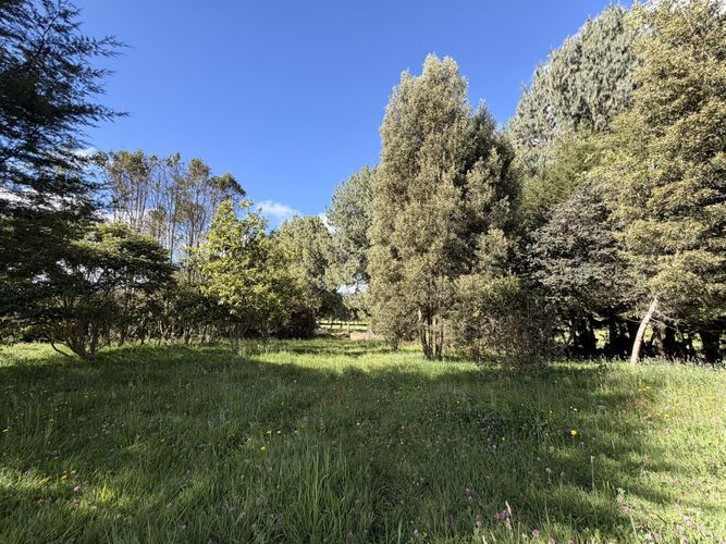 Lote en venta en El Volcan, La Calera, 5476 m² · foto 2 de 14
