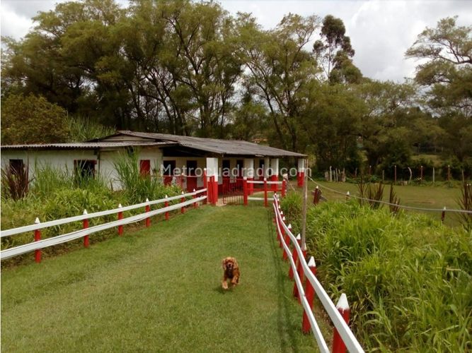 Finca en venta en Playa Rica-Rancheria, Guarne, 470 m² · foto 9 de 18