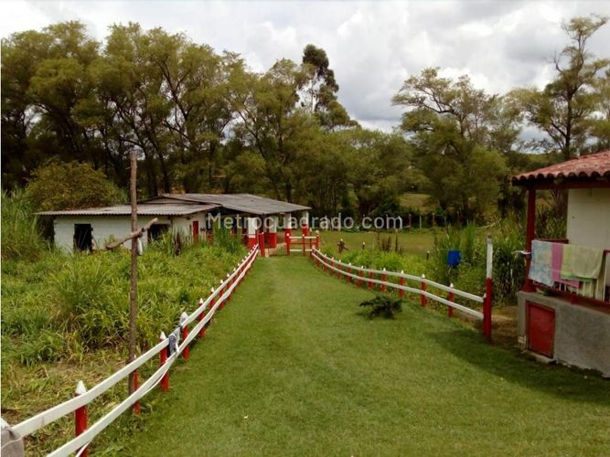 Finca en venta en Playa Rica-Rancheria, Guarne, 470 m² · foto 10 de 18