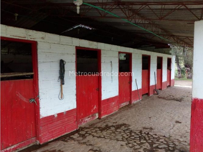 Finca en venta en Playa Rica-Rancheria, Guarne, 470 m² · foto 15 de 18