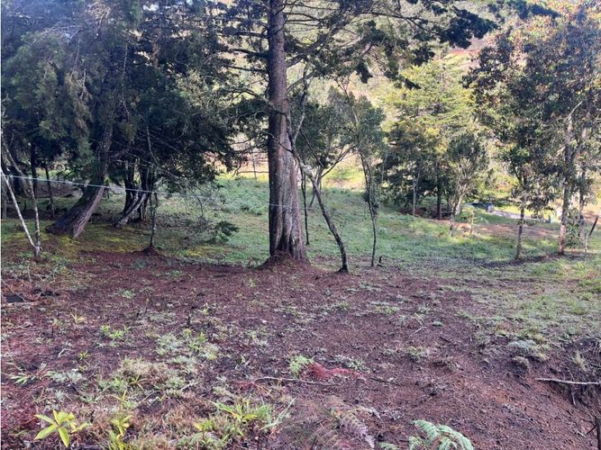 Lote en venta en Don Diego, El Retiro, 2439 m² · foto 6 de 9