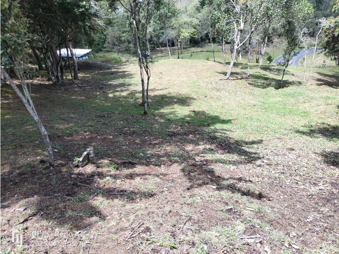 Lote en venta en Don Diego, El Retiro, 2439 m² · foto 7 de 9