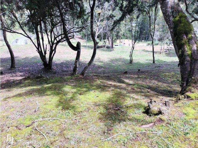 Lote en venta en Don Diego, El Retiro, 2439 m² · foto 8 de 9