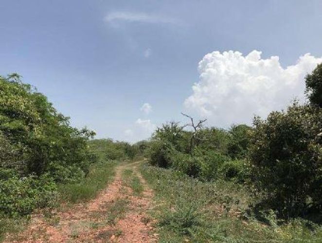 Lote en venta en Juan Mina, Barranquilla, 10 m² · foto 3 de 5
