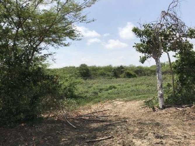 Lote en venta en Juan Mina, Barranquilla, 10 m² · foto 4 de 5