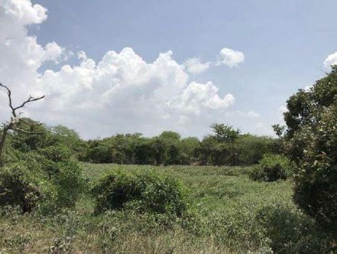Lote en venta en Juan Mina, Barranquilla, 10 m² · foto 5 de 5