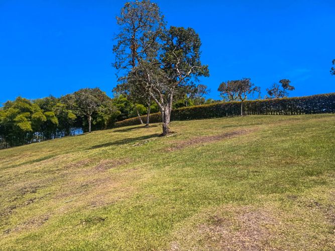 Lote en venta en Vilachuaga, Rionegro, 3000 m² · foto 5 de 9