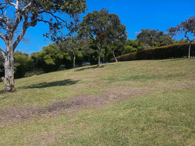Lote en venta en Vilachuaga, Rionegro, 3000 m² · foto 6 de 9