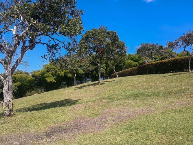 Lote en venta en Vilachuaga, Rionegro, 3000 m² · foto 9 de 9