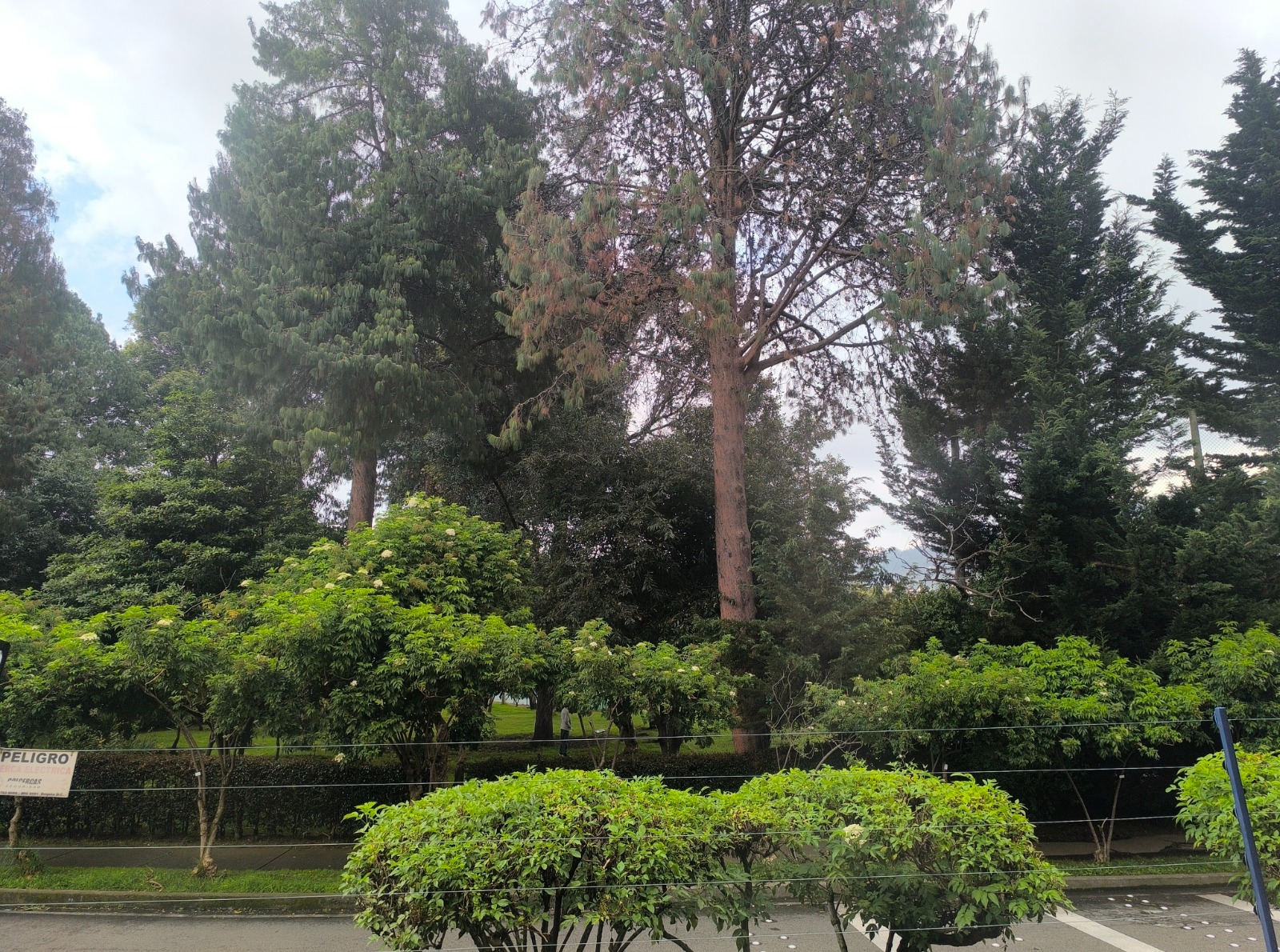 Casa en venta en Cedritos, Bogotá · foto 5 de 22