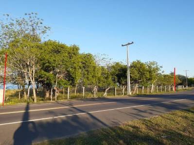 VENDO TERRENO SOBRE EL LAGO EN SAN BERNARDINO — foto 2