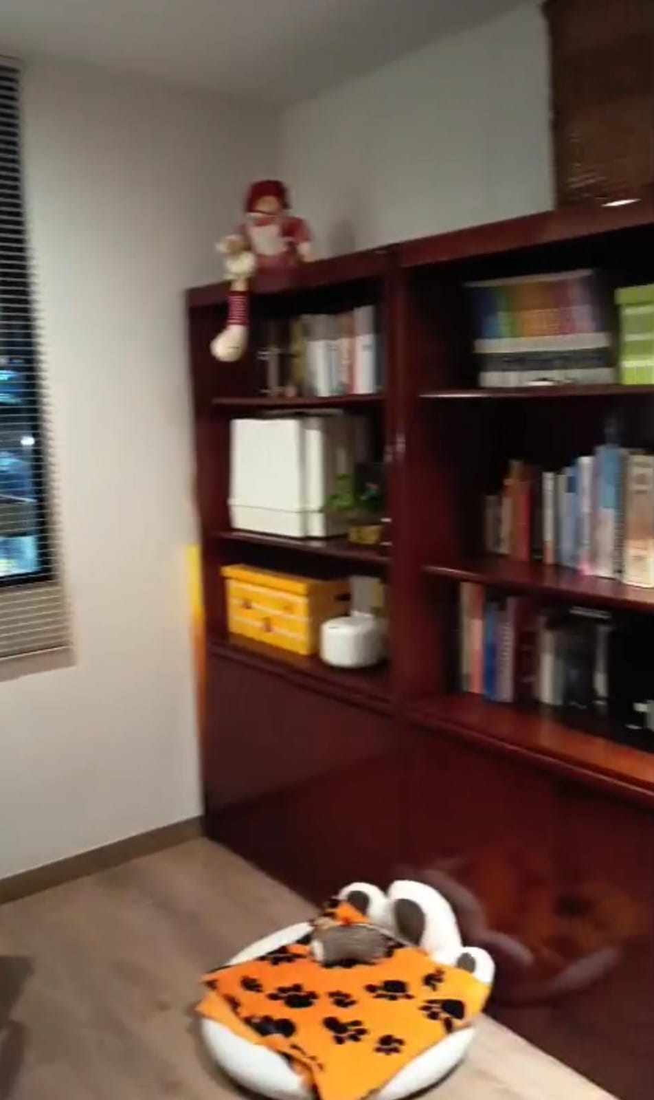 Apartamento en venta en Colina Campestre, Bogotá · foto 19 de 24