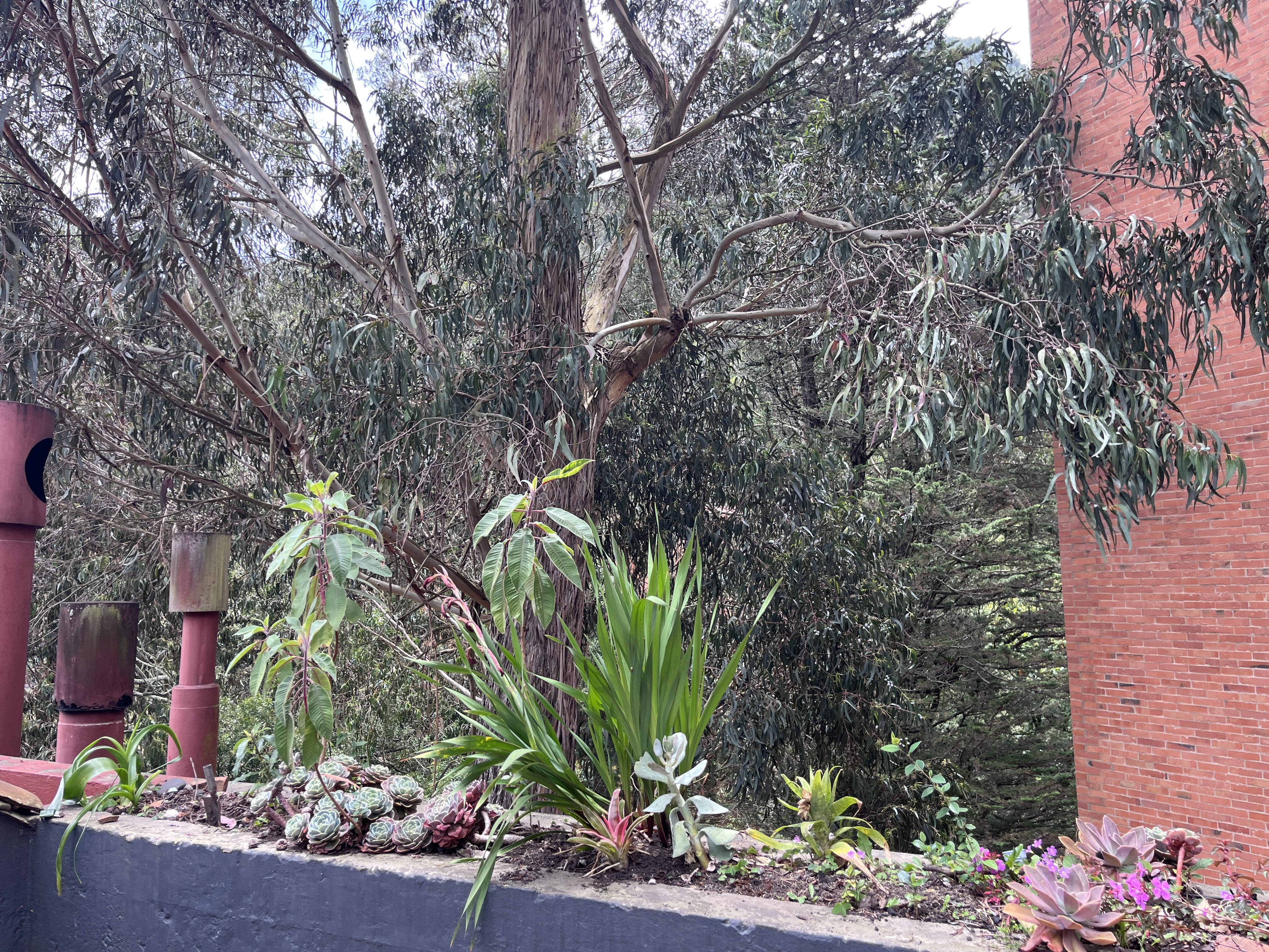 Apartamento en venta en Chapinero, Bogotá · foto 9 de 15
