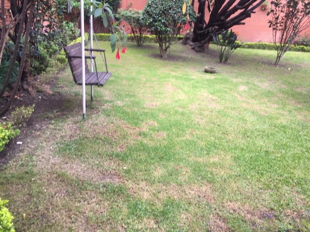 Casa en venta en San Patricio, Bogotá · foto 7 de 16
