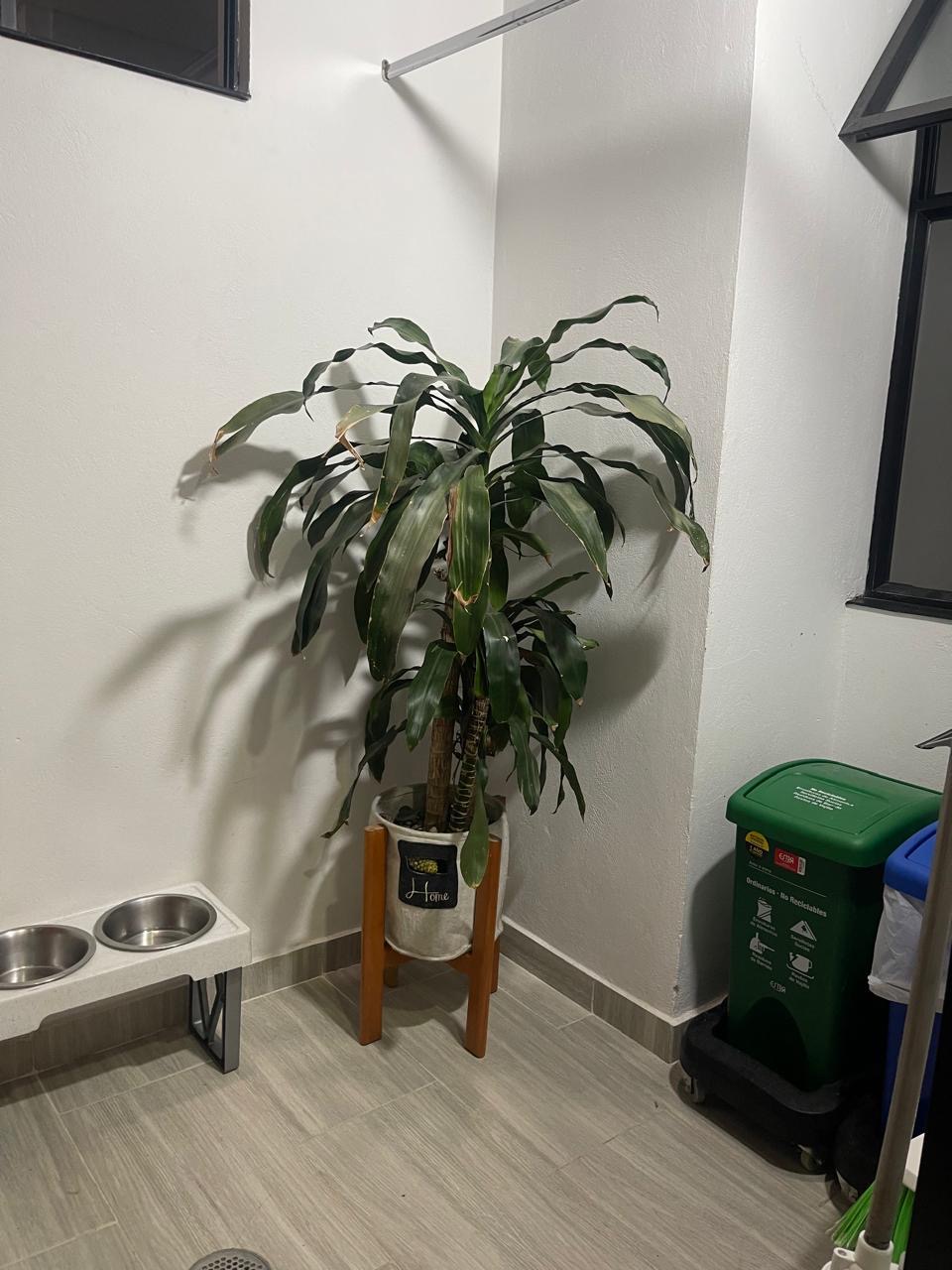 Apartamento en venta en Fonquetá, Chía · foto 4 de 24