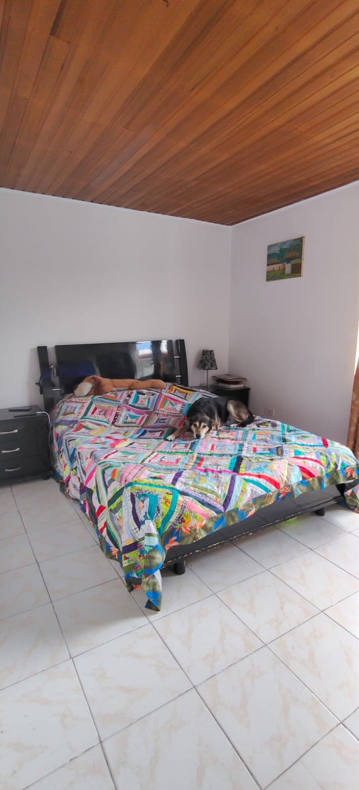 Apartamento en venta en Castilla, Bogotá · foto 7 de 24