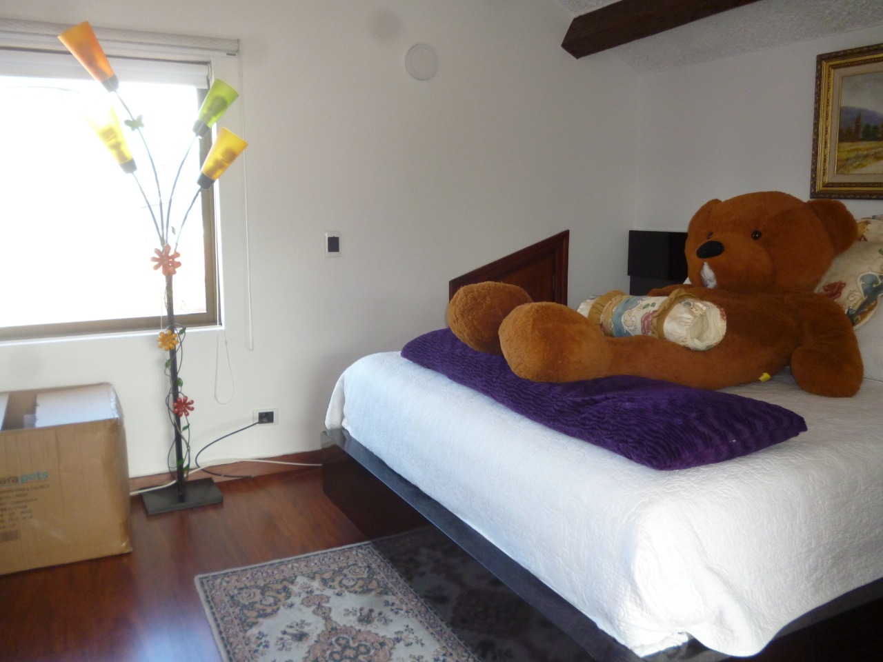 Casa en venta en Santa Barbara, Bogotá · foto 9 de 10