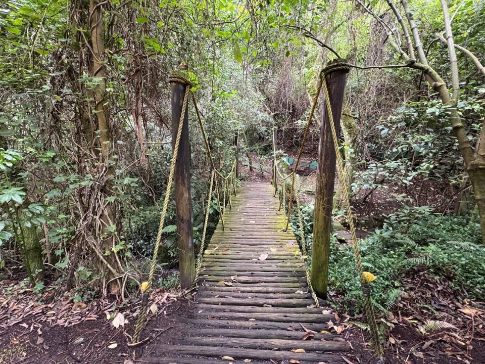 Apartamento en venta en Bosques Del Marques, Bogotá · foto 14 de 15