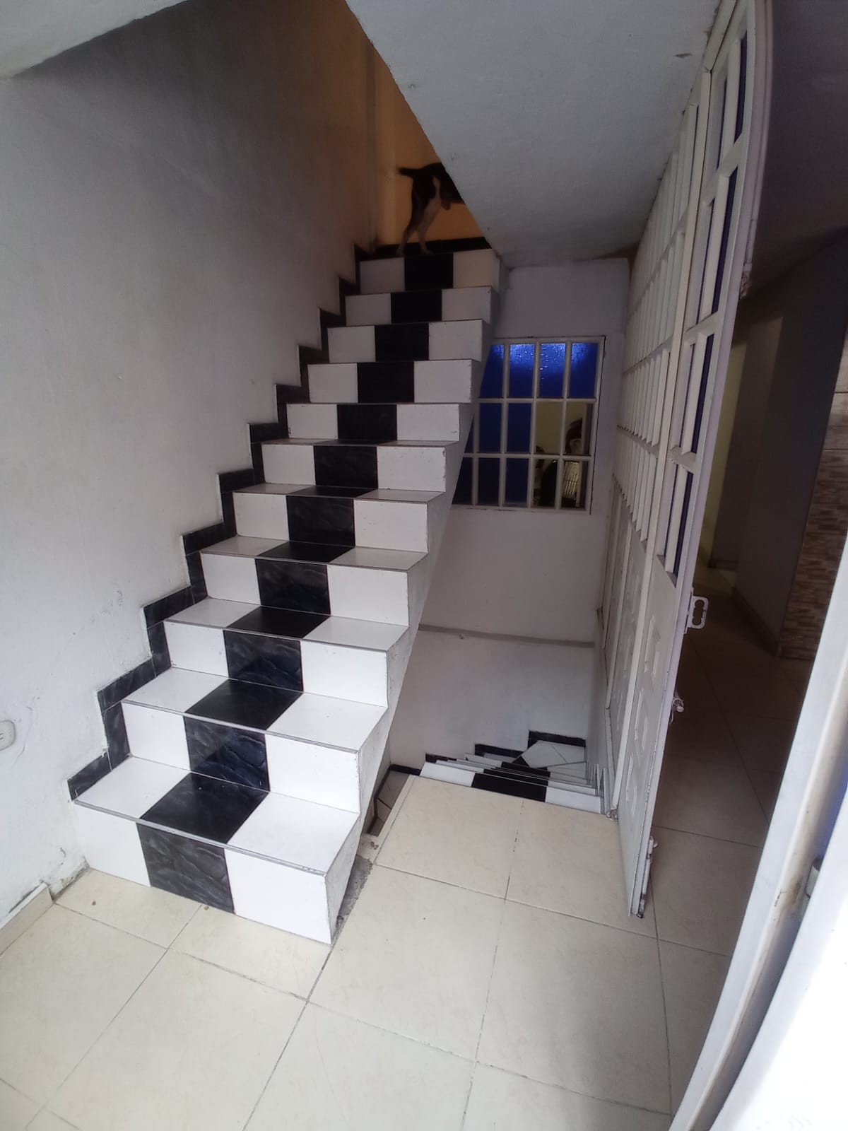 Casa en venta en Villa Andrea, Bogotá · foto 19 de 24