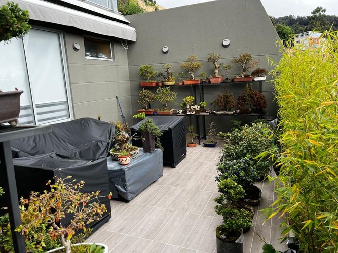 Apartamento en venta en Bosque De Pinos, Bogotá · foto 5 de 24