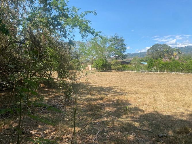 Lote en venta en El Totumo, Ibagué, 5000 m² · foto 4 de 10