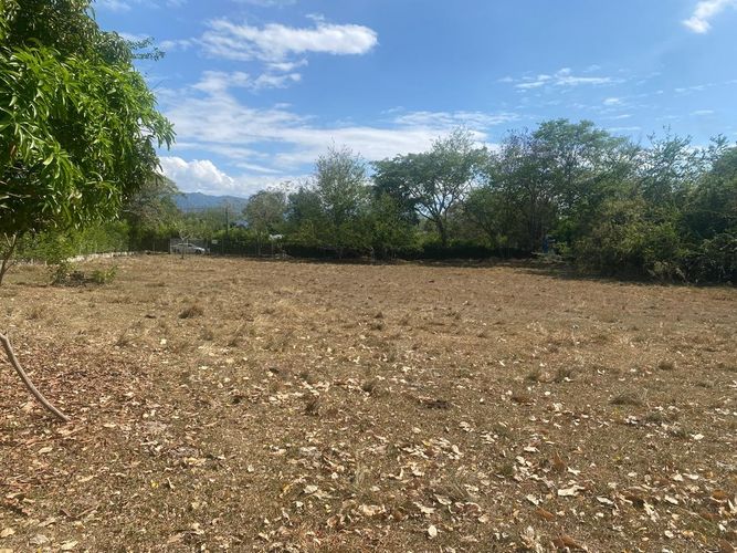 Lote en venta en El Totumo, Ibagué, 5000 m² · foto 5 de 10