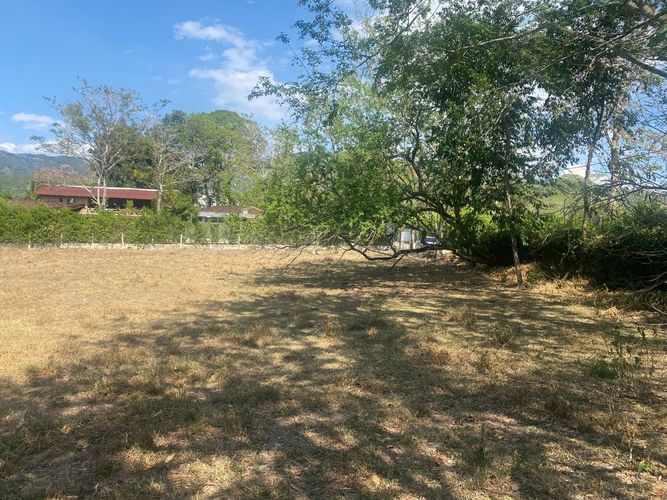 Lote en venta en El Totumo, Ibagué, 5000 m² · foto 3 de 10