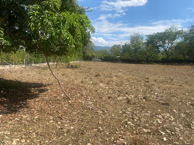 Lote en venta en El Totumo, Ibagué, 5000 m² · foto 7 de 10