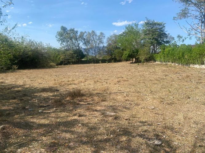 Lote en venta en El Totumo, Ibagué, 5000 m² · foto 8 de 10