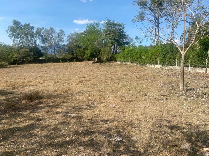 Lote en venta en El Totumo, Ibagué, 5000 m² · foto 9 de 10