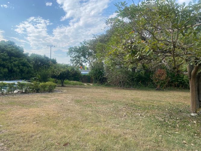 Lote en venta en El Totumo, Ibagué, 5000 m² · foto 10 de 10