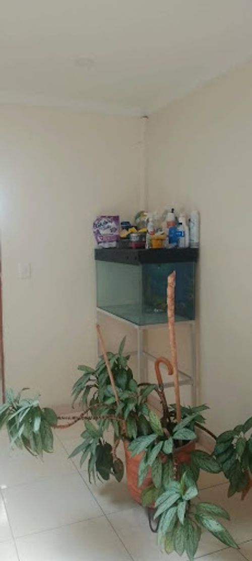 Casa de 5 alcobas en venta en Bosa Chicala, Bogotá, 210 m² · foto 5 de 24