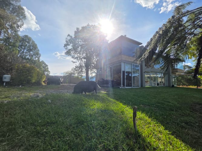 Finca en arriendo en Lejos Del Nido, El Retiro, 245 m² · foto 2 de 23