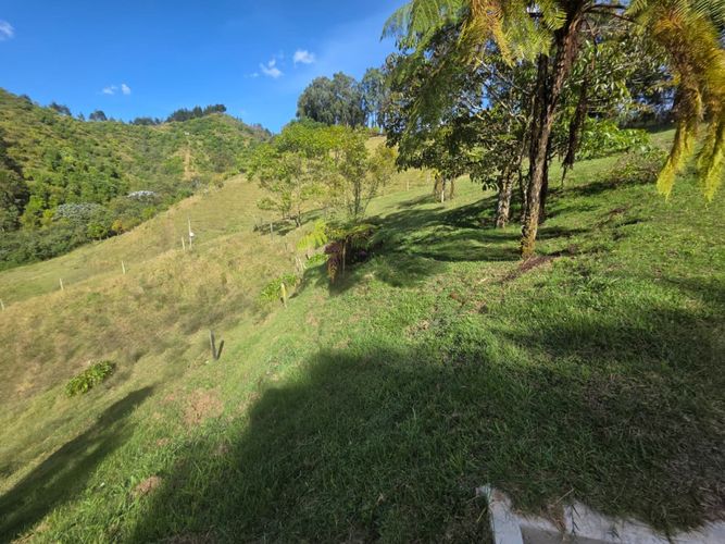 Finca en arriendo en Lejos Del Nido, El Retiro, 245 m² · foto 6 de 23