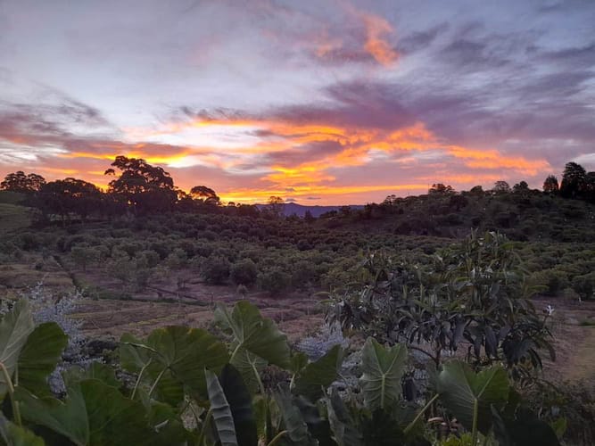 Casa de 3 alcobas en venta en Llano Grande, Rionegro, 278 m² · foto 3 de 16